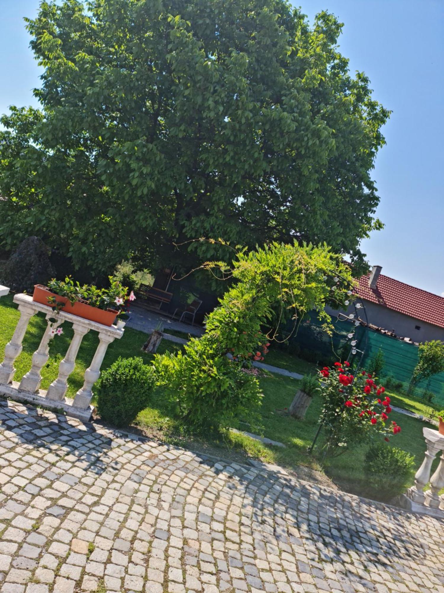 Pensiunea Baroc Dobirlau Exterior foto