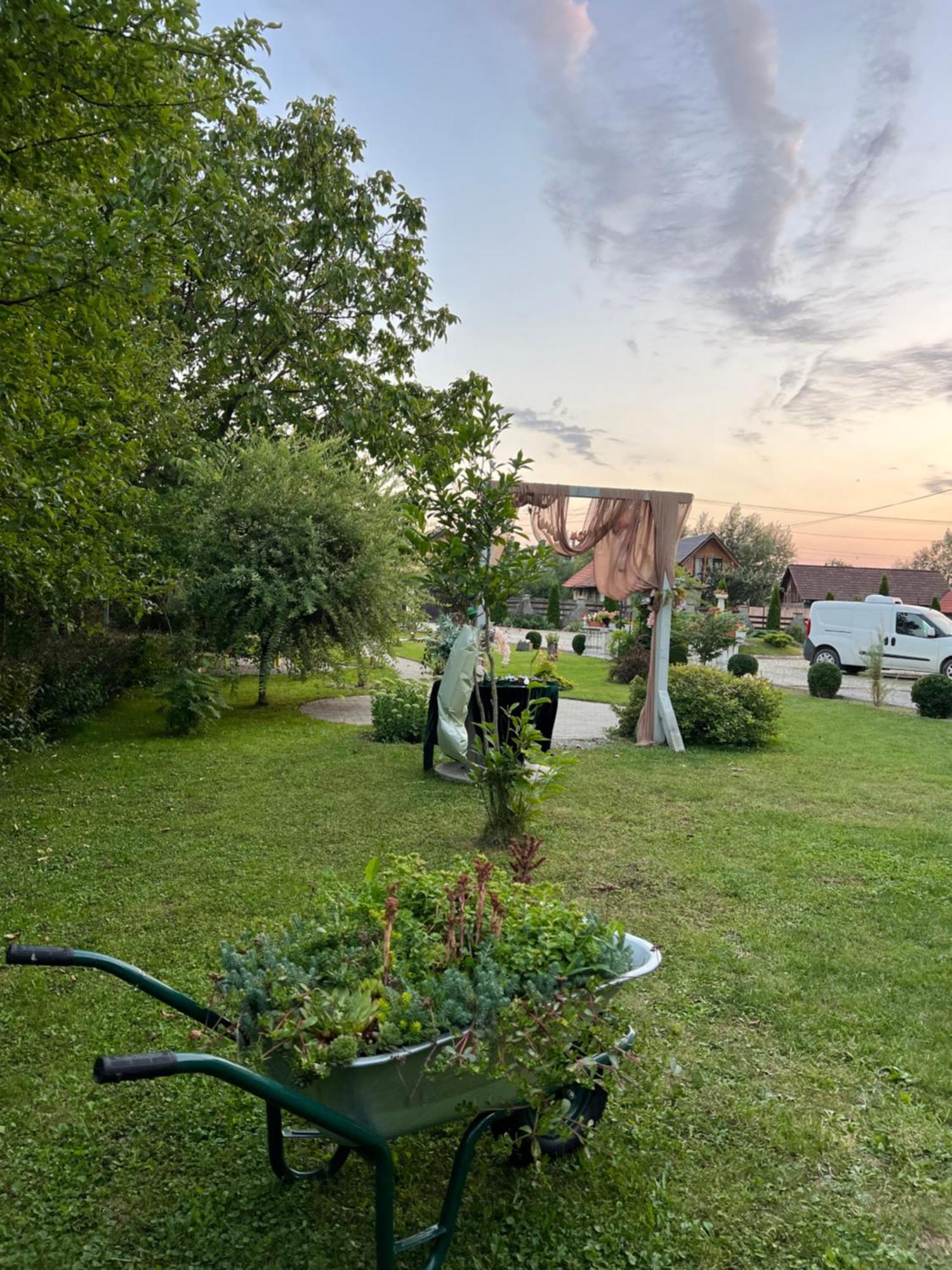 Pensiunea Baroc Dobirlau Exterior foto